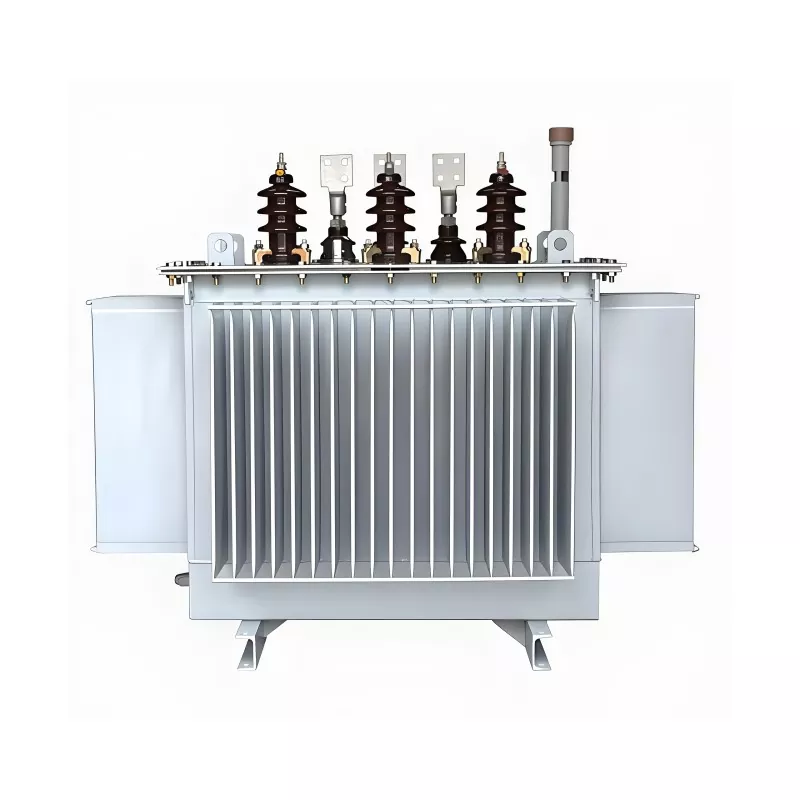 100KVA 20KV Üç Fazalı Yağlı Transformator