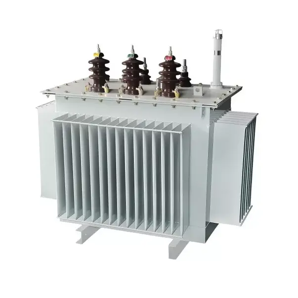 250KVA 6.6KV Yağlı Transformator