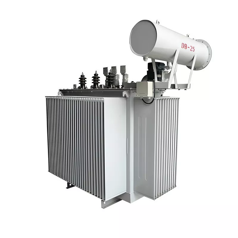 800KVA 35KV Üç Fazalı Yağlı Paylayıcı Transformator